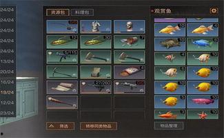 明日最新更新爆料,揭秘游戏大更新背后的秘密与亮点