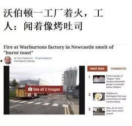 最新外网爆料新闻报道,重大新闻事件深度解析！”