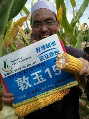 敦煌种业最新爆料新闻,揭秘公司重大战略调整与市场动向