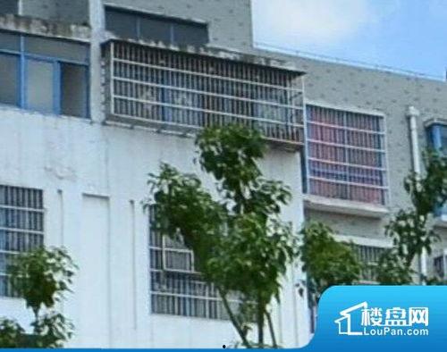 阜阳少爷房产爆料视频最新,揭秘楼市真相，购房者需警惕！