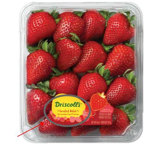 最新爆料草莓图片大全集